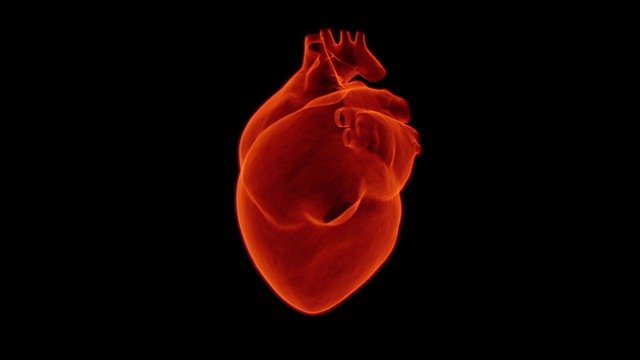 Using just the first 15 minutes of a patient's electrocardiogram (ECG) signal, an MIT system produces a score that places patients into different risk categories.