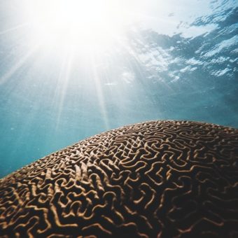 daniel oberg 41Wuv1xsmGM unsplash daniel oberg 41Wuv1xsmGM unsplash