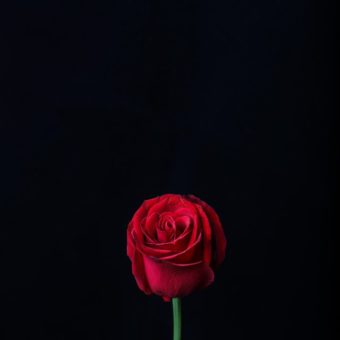 zhengtao tang ydLvGcfxPDA unsplash 2 zhengtao tang ydLvGcfxPDA unsplash 2