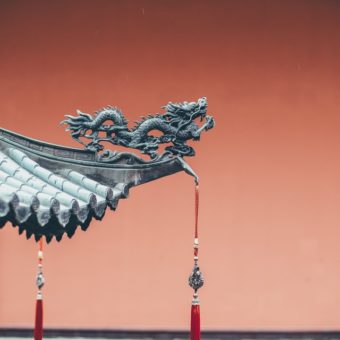 annie spratt rdVLN3UFmpU unsplash annie spratt rdVLN3UFmpU unsplash