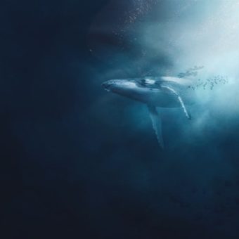 gabriel dizzi WPXxp36tkHQ unsplash gabriel dizzi WPXxp36tkHQ unsplash