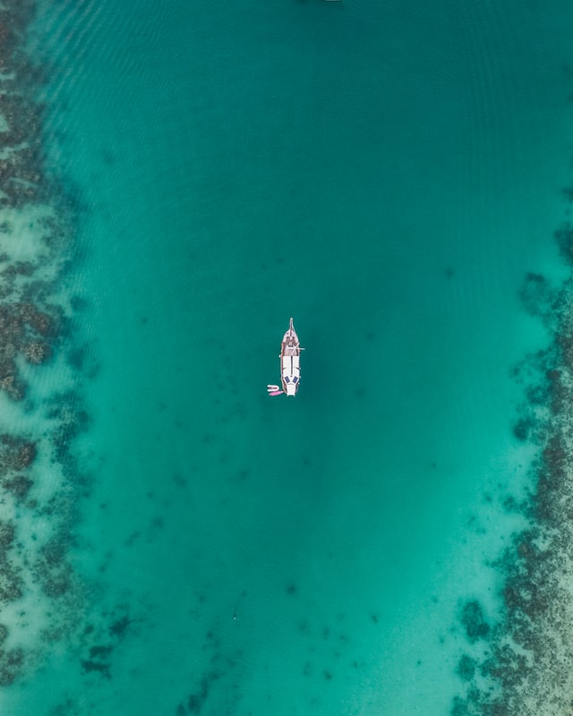 oliver sjostrom J dHJbNMlms unsplash