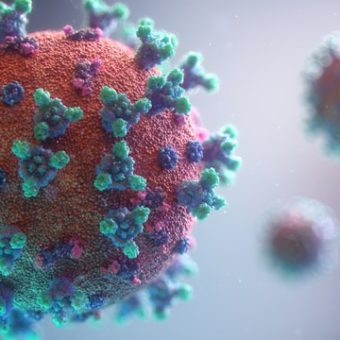 fusion medical animation rnr8D3FNUNY unsplash fusion medical animation rnr8D3FNUNY unsplash
