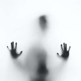 stefano pollio ZC0EbdLC8G0 unsplash stefano pollio ZC0EbdLC8G0 unsplash